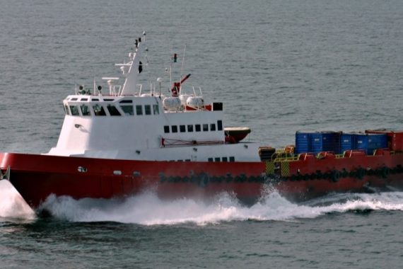 fsv1